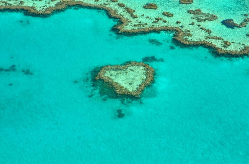 The Great Barrier Reef: Exploring a Breathtaking Underwater World